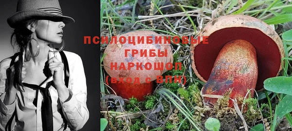 MESCALINE Лихославль