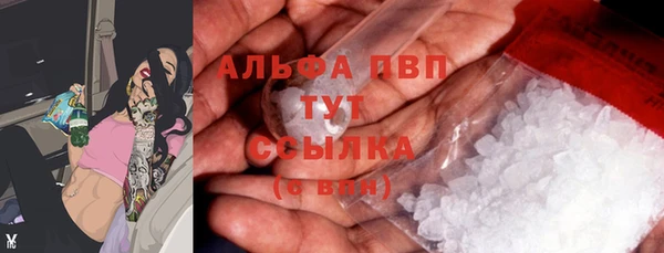 тгк Сатка