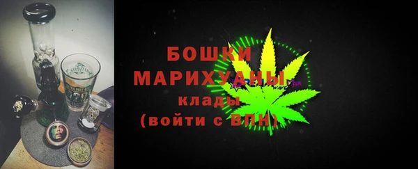 прущие грибы Корсаков