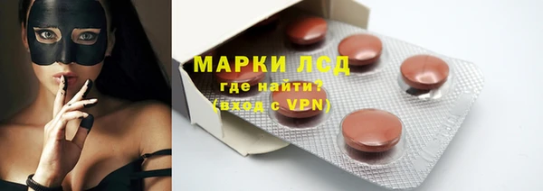тгк Сатка