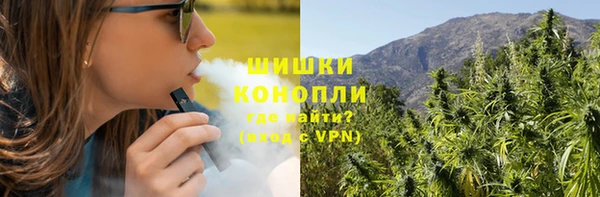 тгк Сатка